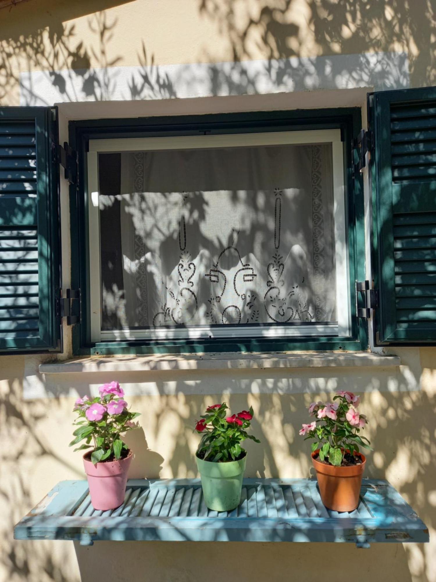Casa Natasa Apartment Oziás Cameră foto