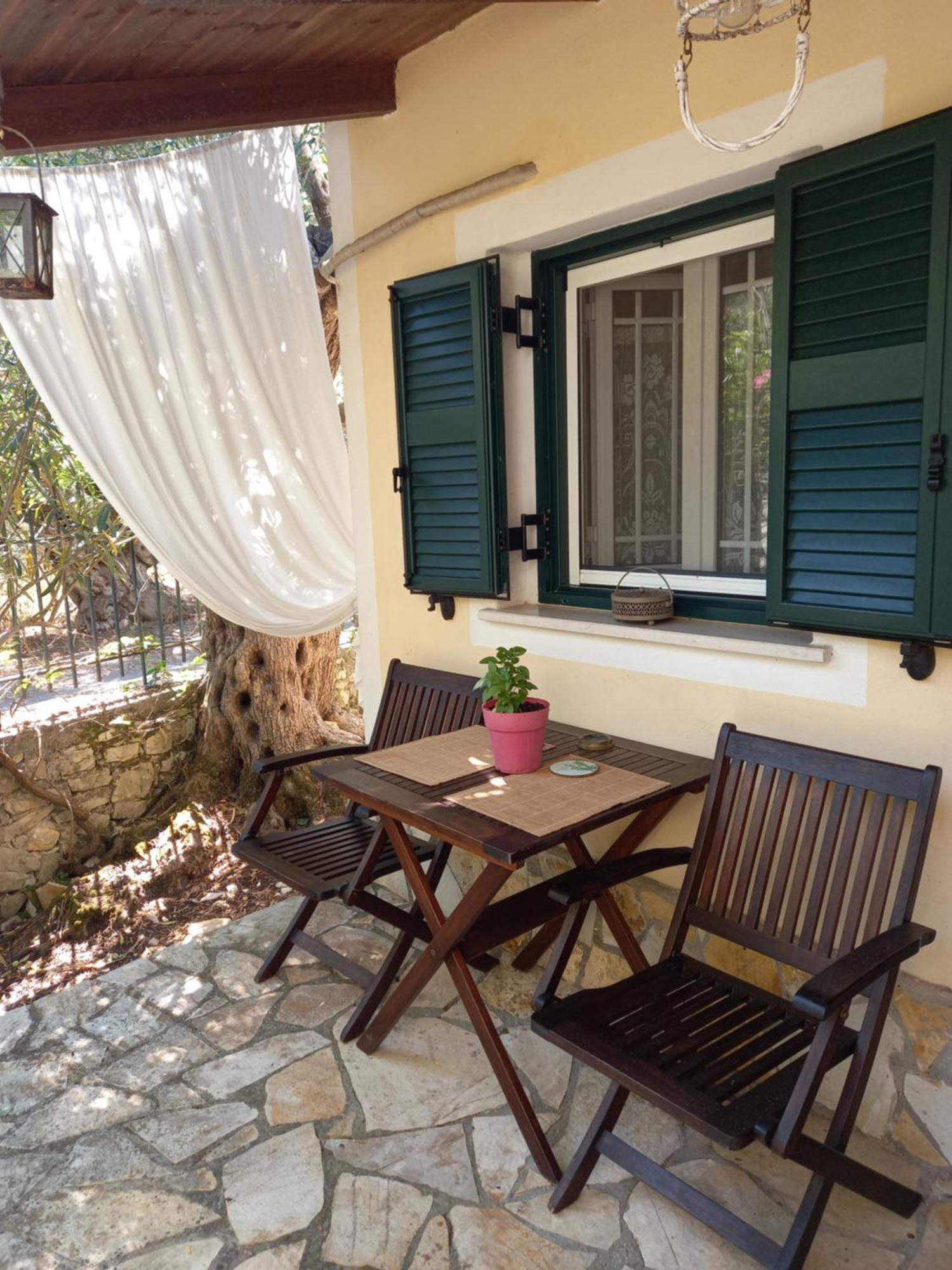Casa Natasa Apartment Oziás Cameră foto